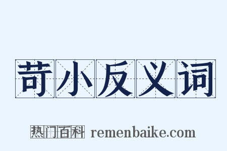 苛小反义词是什么意思的图片